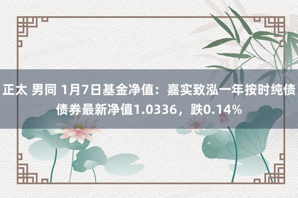 正太 男同 1月7日基金净值：嘉实致泓一年按时纯债债券最新净值1.0336，跌0.14%