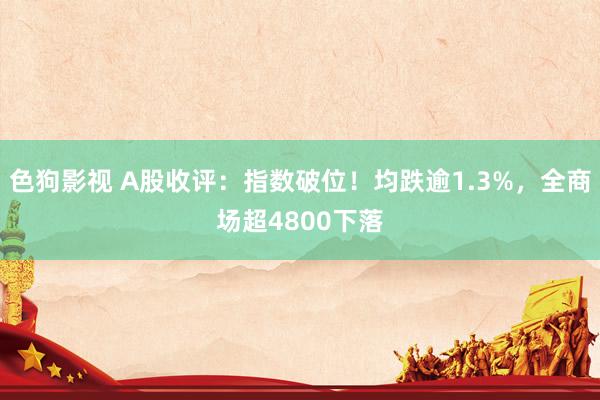 色狗影视 A股收评：指数破位！均跌逾1.3%，全商场超4800下落