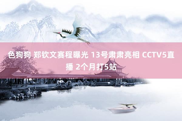 色狗狗 郑钦文赛程曝光 13号肃肃亮相 CCTV5直播 2个月打5站