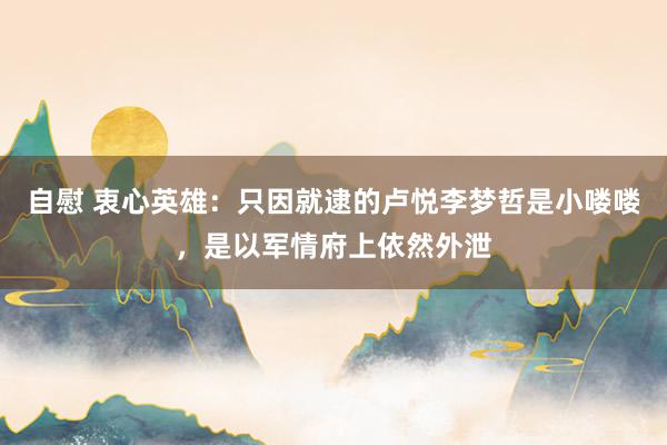 自慰 衷心英雄：只因就逮的卢悦李梦哲是小喽喽，是以军情府上依然外泄
