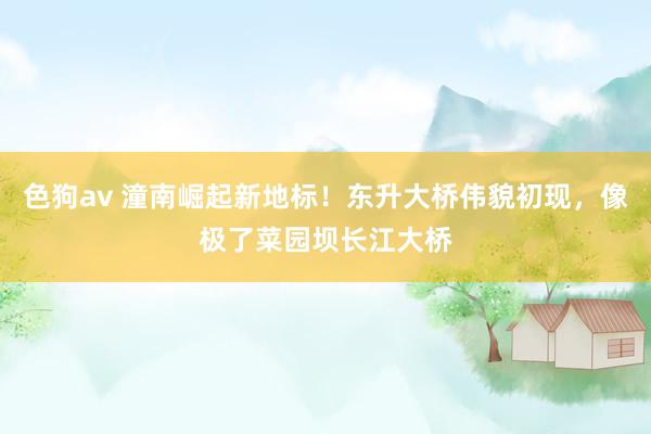 色狗av 潼南崛起新地标！东升大桥伟貌初现，像极了菜园坝长江大桥
