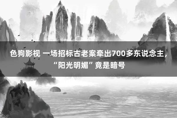 色狗影视 一场招标古老案牵出700多东说念主，“阳光明媚”竟是暗号