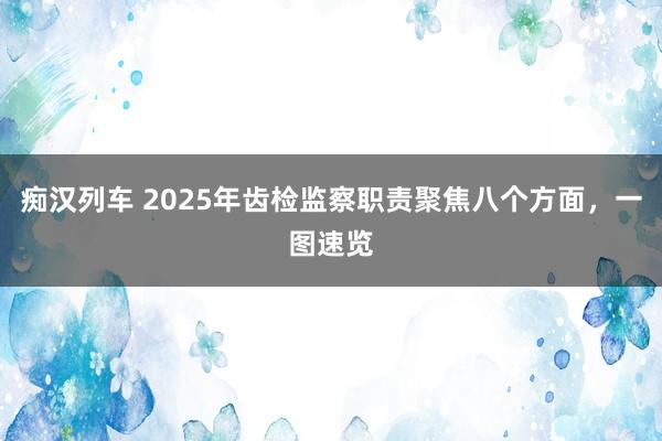 痴汉列车 2025年齿检监察职责聚焦八个方面，一图速览