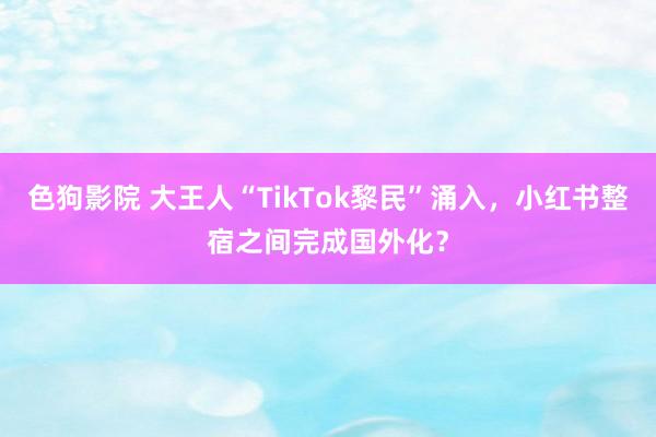 色狗影院 大王人“TikTok黎民”涌入，小红书整宿之间完成国外化？