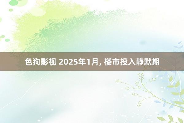 色狗影视 2025年1月， 楼市投入静默期