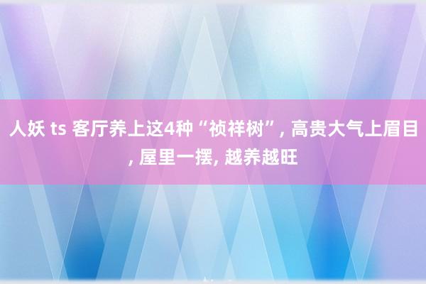 人妖 ts 客厅养上这4种“祯祥树”， 高贵大气上眉目， 屋里一摆， 越养越旺