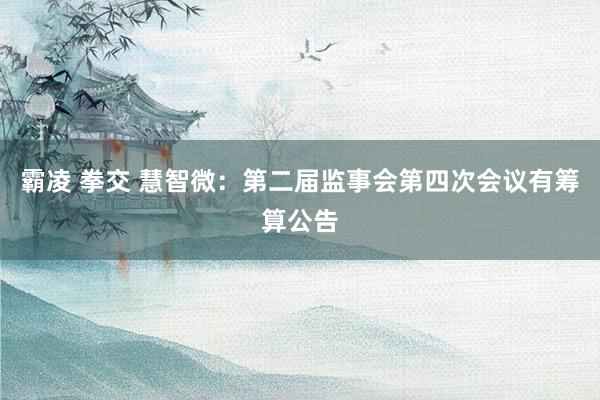 霸凌 拳交 慧智微：第二届监事会第四次会议有筹算公告