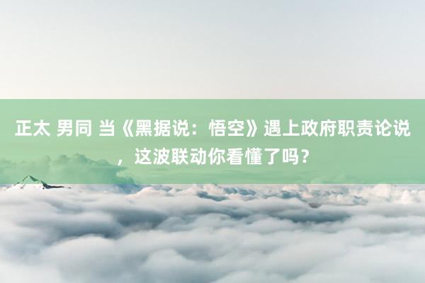 正太 男同 当《黑据说：悟空》遇上政府职责论说，这波联动你看懂了吗？