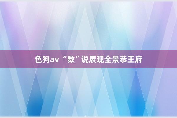 色狗av “数”说展现全景恭王府