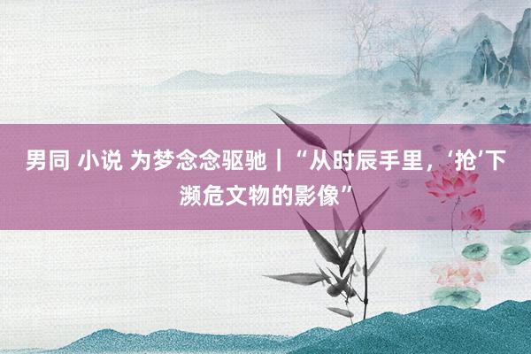 男同 小说 为梦念念驱驰｜“从时辰手里，‘抢’下濒危文物的影像”