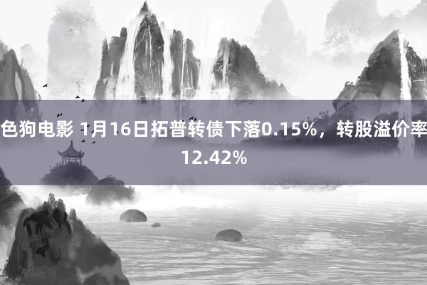 色狗电影 1月16日拓普转债下落0.15%，转股溢价率12.42%