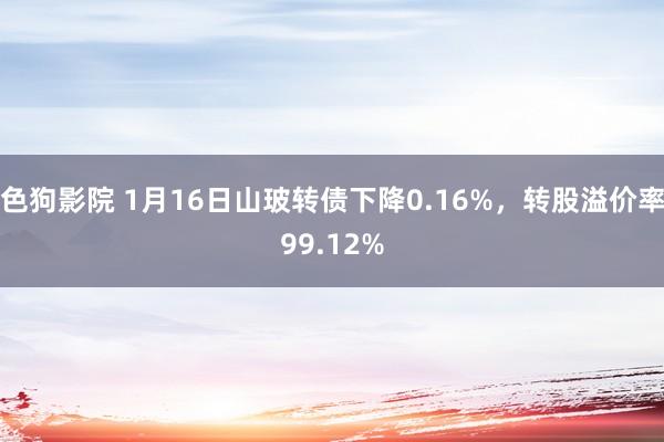 色狗影院 1月16日山玻转债下降0.16%，转股溢价率99.12%