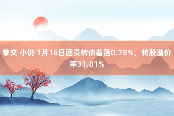 拳交 小说 1月16日团员转债着落0.78%，转股溢价率31.81%