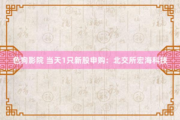 色狗影院 当天1只新股申购：北交所宏海科技