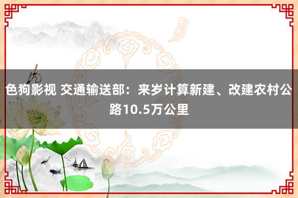 色狗影视 交通输送部：来岁计算新建、改建农村公路10.5万公里