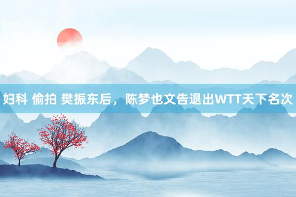 妇科 偷拍 樊振东后，陈梦也文告退出WTT天下名次