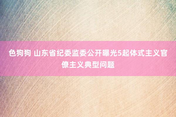色狗狗 山东省纪委监委公开曝光5起体式主义官僚主义典型问题