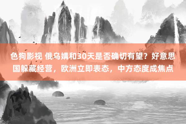 色狗影视 俄乌媾和30天是否确切有望？好意思国躲藏经营，欧洲立即表态，中方态度成焦点