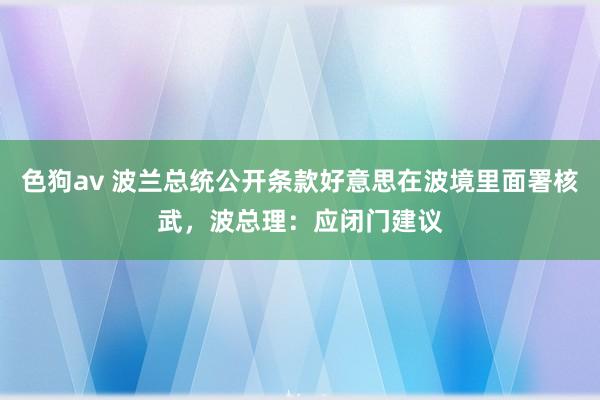 色狗av 波兰总统公开条款好意思在波境里面署核武，波总理：应闭门建议