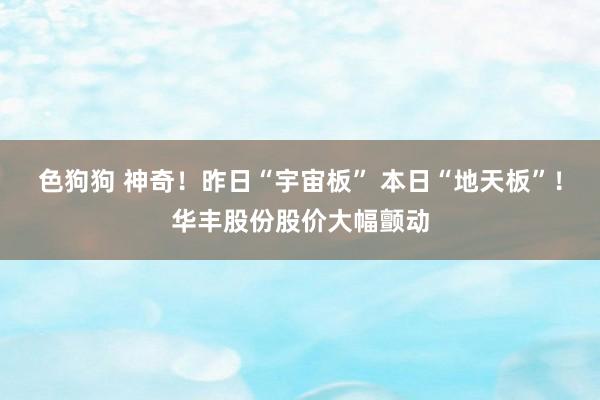 色狗狗 神奇！昨日“宇宙板” 本日“地天板”！华丰股份股价大幅颤动