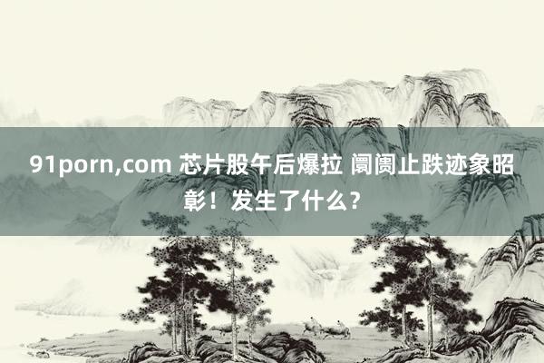 91porn，com 芯片股午后爆拉 阛阓止跌迹象昭彰！发生了什么？