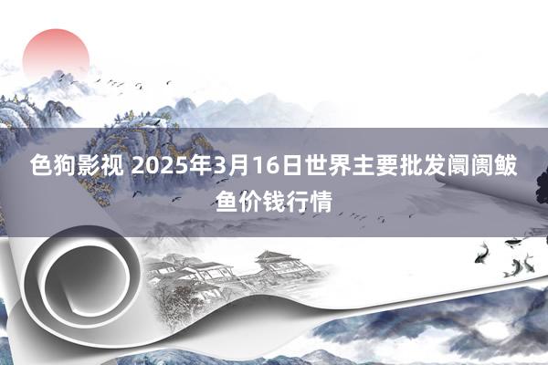 色狗影视 2025年3月16日世界主要批发阛阓鲅鱼价钱行情