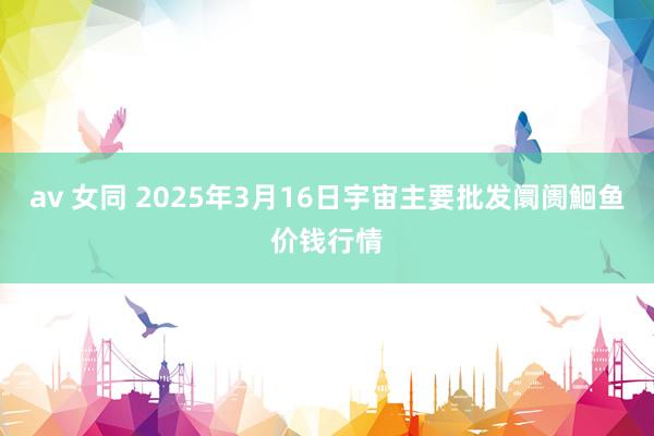 av 女同 2025年3月16日宇宙主要批发阛阓鮰鱼价钱行情