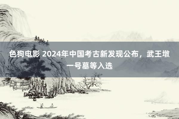 色狗电影 2024年中国考古新发现公布，武王墩一号墓等入选