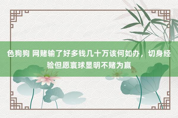 色狗狗 网赌输了好多钱几十万该何如办，切身经验但愿寰球显明不赌为赢