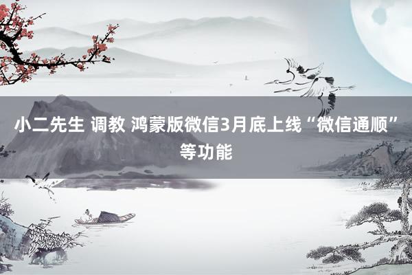 小二先生 调教 鸿蒙版微信3月底上线“微信通顺”等功能
