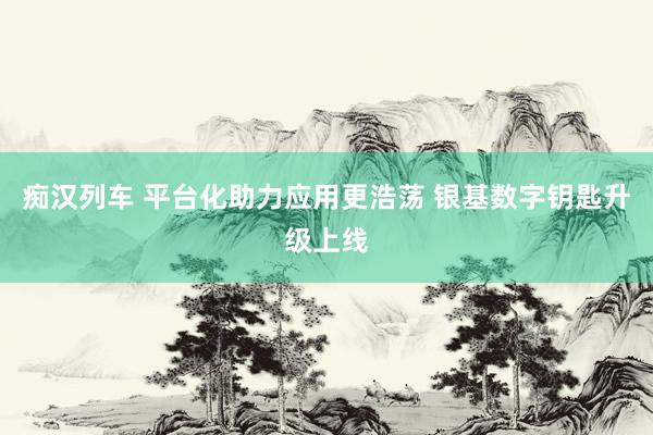 痴汉列车 平台化助力应用更浩荡 银基数字钥匙升级上线