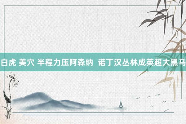 白虎 美穴 半程力压阿森纳  诺丁汉丛林成英超大黑马