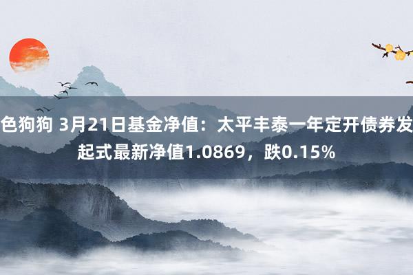 色狗狗 3月21日基金净值：太平丰泰一年定开债券发起式最新净值1.0869，跌0.15%