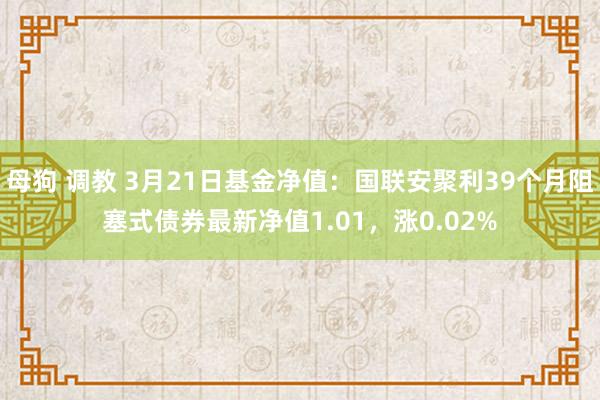 母狗 调教 3月21日基金净值：国联安聚利39个月阻塞式债券最新净值1.01，涨0.02%