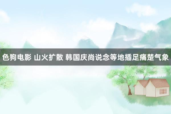 色狗电影 山火扩散 韩国庆尚说念等地插足痛楚气象
