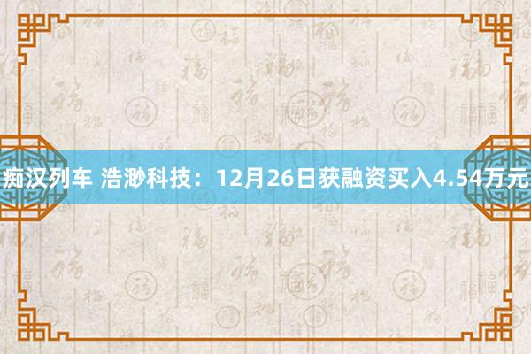 痴汉列车 浩渺科技：12月26日获融资买入4.54万元