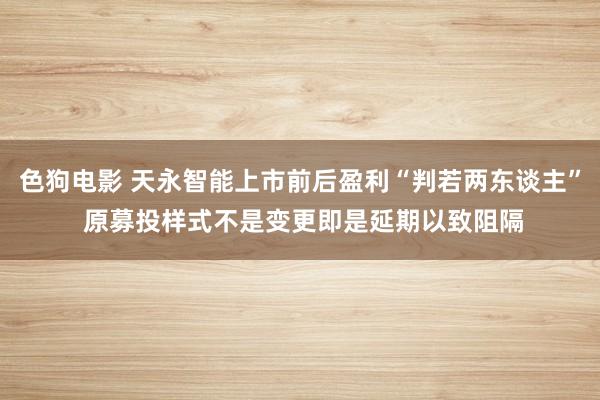 色狗电影 天永智能上市前后盈利“判若两东谈主” 原募投样式不是变更即是延期以致阻隔