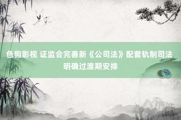色狗影视 证监会完善新《公司法》配套轨制司法 明确过渡期安排