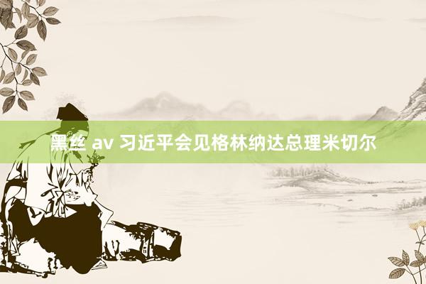 黑丝 av 习近平会见格林纳达总理米切尔
