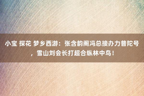 小宝 探花 梦乡西游：张含韵阁冯总接办力普陀号，雪山刘会长打超合纵林中鸟！