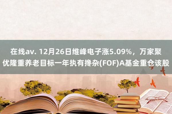 在线av. 12月26日维峰电子涨5.09%，万家聚优隆重养老目标一年执有搀杂(FOF)A基金重仓该股