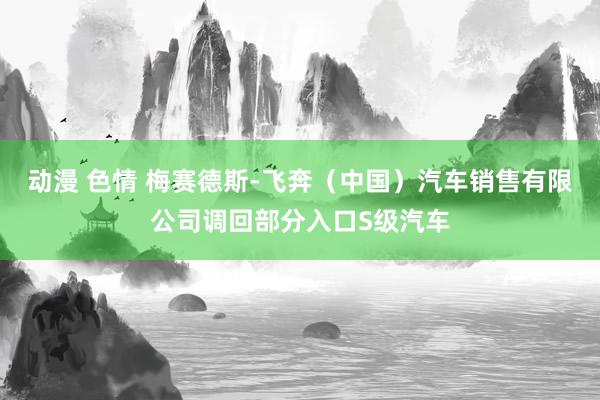 动漫 色情 梅赛德斯-飞奔（中国）汽车销售有限公司调回部分入口S级汽车