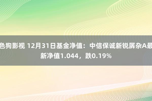色狗影视 12月31日基金净值：中信保诚新锐羼杂A最新净值1.044，跌0.19%