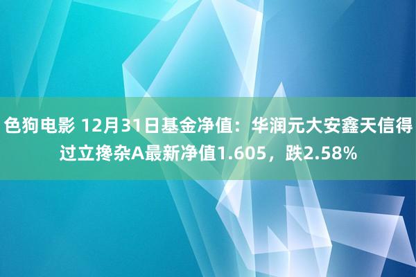 色狗电影 12月31日基金净值：华润元大安鑫天信得过立搀杂A最新净值1.605，跌2.58%