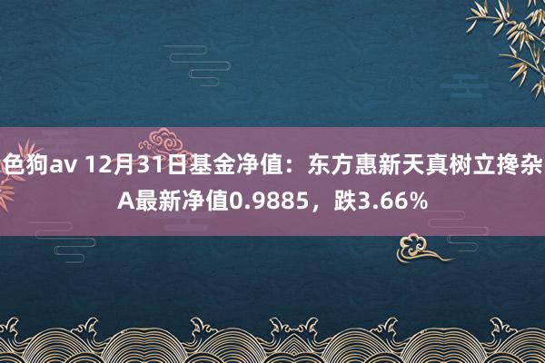 色狗av 12月31日基金净值：东方惠新天真树立搀杂A最新净值0.9885，跌3.66%