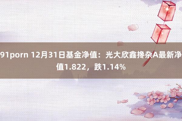 91porn 12月31日基金净值：光大欣鑫搀杂A最新净值1.822，跌1.14%