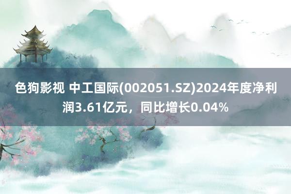 色狗影视 中工国际(002051.SZ)2024年度净利润3.61亿元，同比增长0.04%