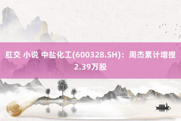 肛交 小说 中盐化工(600328.SH)：周杰累计增捏2.39万股