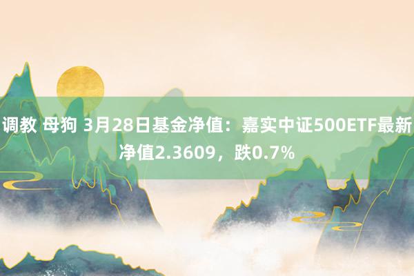 调教 母狗 3月28日基金净值：嘉实中证500ETF最新净值2.3609，跌0.7%