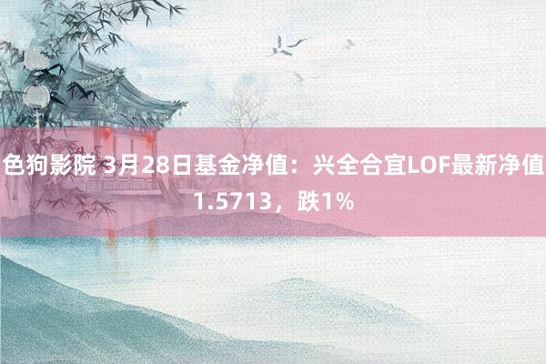 色狗影院 3月28日基金净值：兴全合宜LOF最新净值1.5713，跌1%